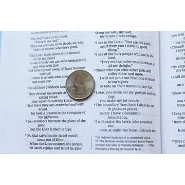 NIV Value Thinline Bible Teal Comfort Print