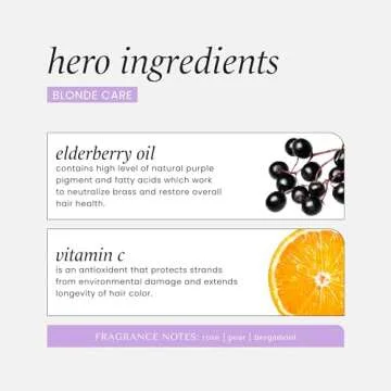 Vegan HASK Blonde Care Shampoo & Conditioner Set 1-1