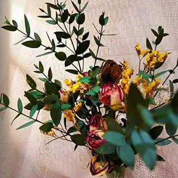 Dried Eucalyptus Leaves for Home and Wedding Decor