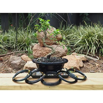 Anodized Aluminum Bonsai Training Wire 5-Size Starter Set