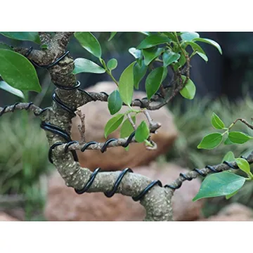 Anodized Aluminum Bonsai Training Wire 5-Size Starter Set