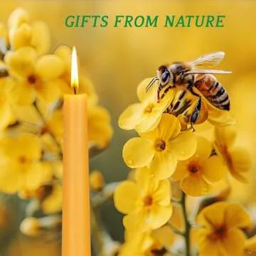 Natural Beeswax Taper Candles - Smokeless & Dripless