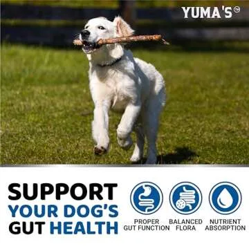 Probiotics for Dogs Chews - Digestive Health Support
