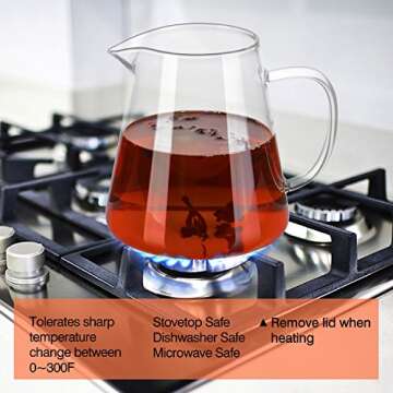 Elegant 32oz Túasia Borosilicate Glass Tea Kettle