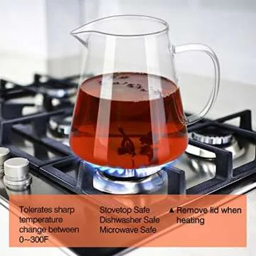 Elegant 32oz Túasia Borosilicate Glass Tea Kettle
