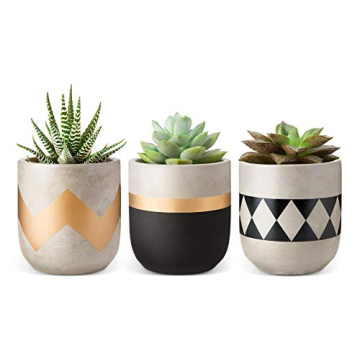 Mkono Cement Succulent Planter Set of 3 Concrete Plant Pots for Small Plants - Modern Indoor Decor f...