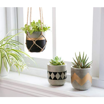 Mkono Cement Succulent Planter Set - Modern Concrete Pots 4"