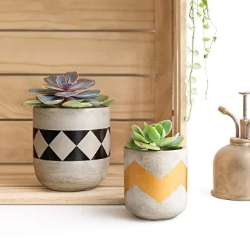 Mkono Cement Succulent Planter Set - Modern Concrete Pots 4"
