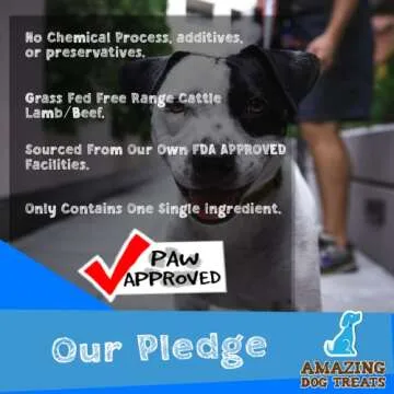 Healthy Beef Cheek Chews for Dogs - No Odor, No Additives