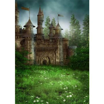 AOFOTO 4x6ft Magic Forest Vintage Medieval Castle Background Fairytale Florets Meadow Photography Ba...