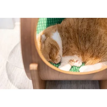 MYZOO Spaceship Alpha Cozy Wooden Pet Bed