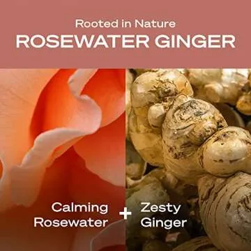 Hey Humans Vegan Rosewater Ginger Body Wash - Clean & Gentle