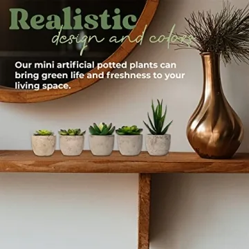 Set of 5 Mini Artificial Succulent Plants for Home