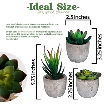 Set of 5 Mini Artificial Succulent Plants for Home