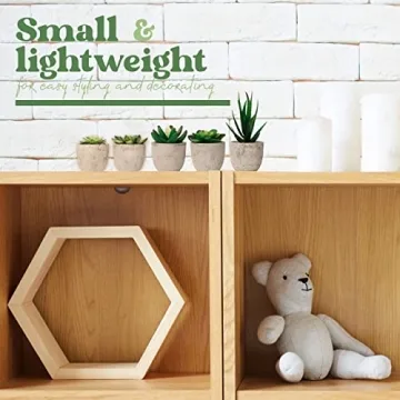 Set of 5 Mini Artificial Succulent Plants for Home