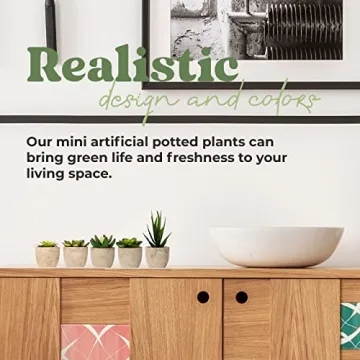 Set of 5 Mini Artificial Succulent Plants for Home