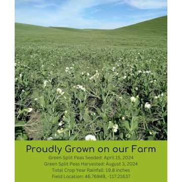 Certified Glyphosate Residue Free Garbanzo Beans, Brown Lentils and Green Split Peas | 15 total LBS | Non-GMO Project Verified | 100% Non-Irradiated | Certified Kosher Parve | USA Grown | Field Traced