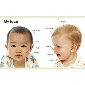 My First Body (My First Board Books)