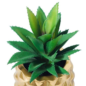 BLASCOOL Pineapple Succulent Decor for Home Office