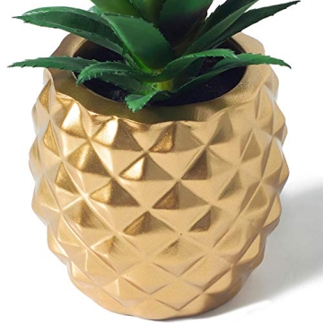 BLASCOOL Pineapple Succulent Decor for Home Office