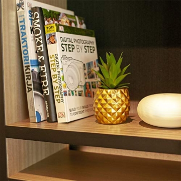 BLASCOOL Pineapple Succulent Decor for Home Office