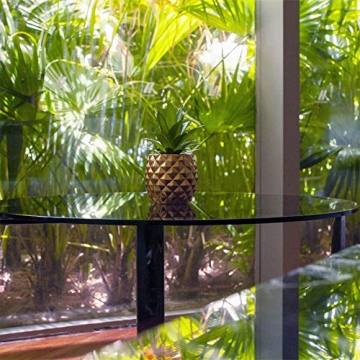 BLASCOOL Pineapple Succulent Decor for Home Office