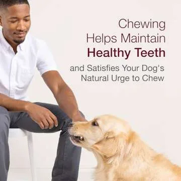 SmartBones SmartSticks, Treat Your Dog to a Rawhide-Free Chew Made With Real Chicken and Vegetables, 10 sticks