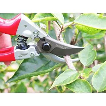 Mesoga 8 Inch Sharp Blades Bypass Pruning Shears for Gardens