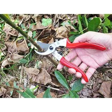 Mesoga 8 Inch Sharp Blades Bypass Pruning Shears for Gardens