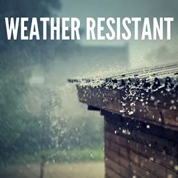 DESIGNERS FOUNTAIN Preston Outdoor Light Fixture, 8 Inch, Exterior Wall Mount Lantern Sconce, Clear Glass Porch Lights for Front Door, Patio, and House Garage, Black, 1161-BK