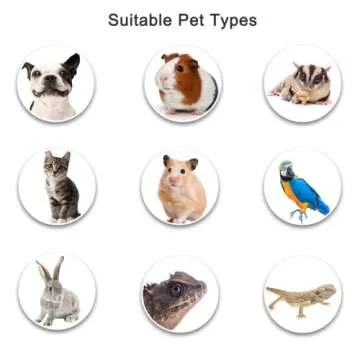 Compact Outdoor Pet Tent for Cats, Dogs & Reptiles