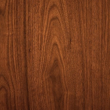 Armen Living Summer Modern Accent Chair in Charcoal Fabric