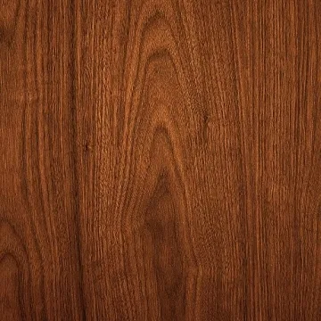 Armen Living Summer Modern Accent Chair in Charcoal Fabric