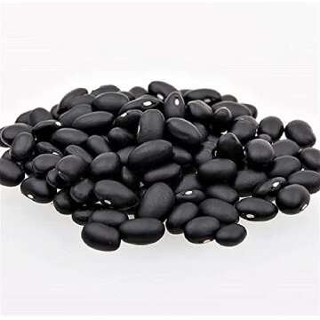 Heirloom Black Turtle Bush Bean Seeds - Non-GMO for Healthy Meals
