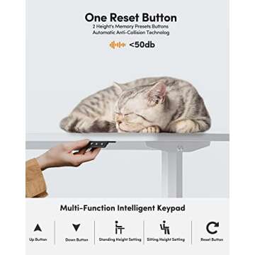 BANTI Electric Height Adjustable Standing Desk 44"x24"