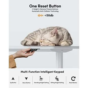 BANTI Electric Height Adjustable Standing Desk 44"x24"