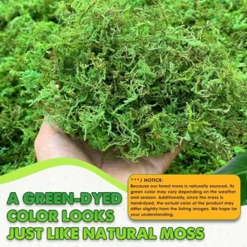 DUSPRO Green Moss for Crafts Perfect for DIY Wedding Decor