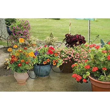 Raindrip R560DP Automatic Drip Irrigation Watering Kit