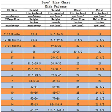 Dinosaur Baby Boys Pajamas Set 6-12 Months Blue