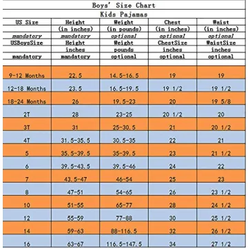 Dinosaur Baby Boys Pajamas Set 6-12 Months Blue