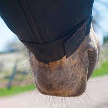 BENEFAB Therapeutic Lycra Horse Hood | Far-Infrared and Magnetic Therapy | Keeping Neck & Shoulders ...