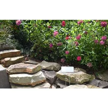 Bosmere Zinc Plant Markers for Vegetables, Herbs, Seedlings, Flowers, Large-Faced Metal Plant Markers with Carbon Pencil Included, 10 Inches High (Pack of 20)