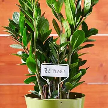 Bosmere Zinc Plant Markers for Vegetables, Herbs, Seedlings, Flowers, Large-Faced Metal Plant Markers with Carbon Pencil Included, 10 Inches High (Pack of 20)