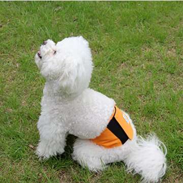 JoyDaog Belly Bands for Male Dogs - 3 Pack Washable Diapers with Extra Absorption