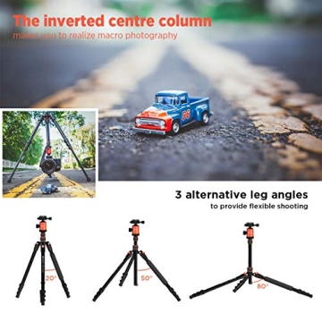 GEEKOTO Compact 77'' Tripod for DSLR with 360 Degree Ball Head