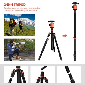 GEEKOTO Compact 77'' Tripod for DSLR with 360 Degree Ball Head