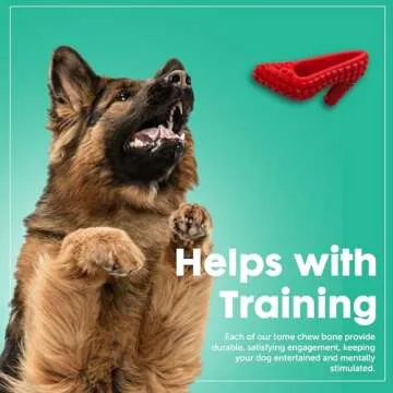 Durable Dog Chew Toys for Aggressive Chewers