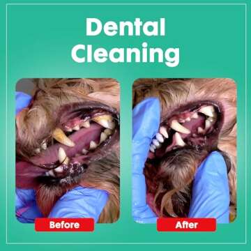 Durable Dog Chew Toys for Aggressive Chewers