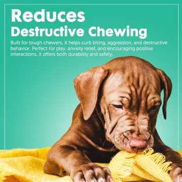 Durable Dog Chew Toys for Aggressive Chewers