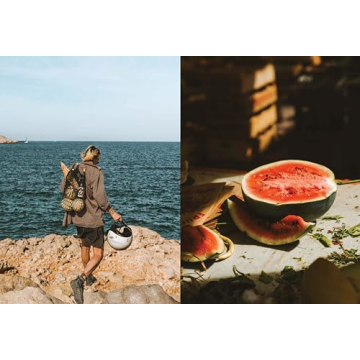 Le Sud: Journey Through Provencal Cuisine with Authentic Recipes